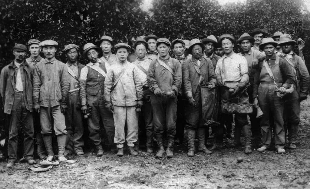 Korean Laborers